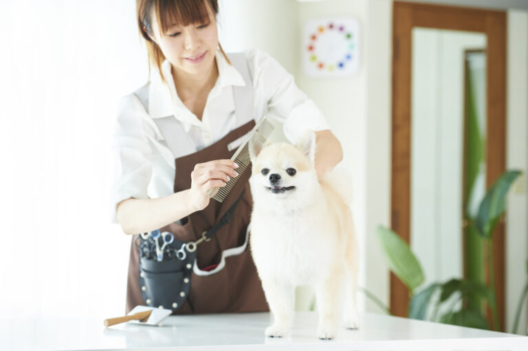 泡の力で乾燥時間が短くなり、犬たちも快適そうです。