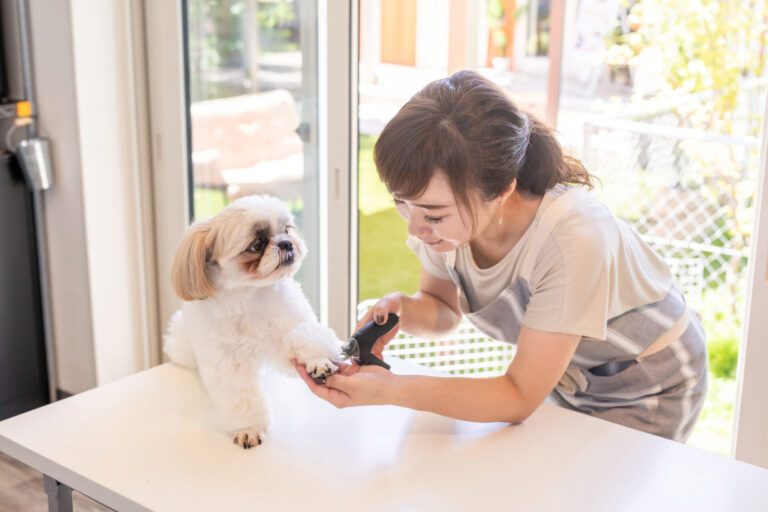 飼い主様のリピート率が格段にUPしました。
